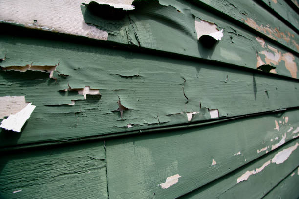 Best Residential Junk Removal  in Danville, IN