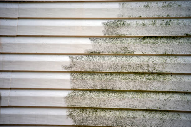 Best Construction Debris Removal  in Danville, IN