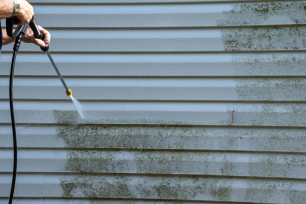 Best Demolition Debris Removal  in Danville, IN